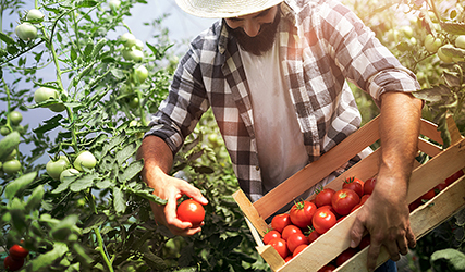 productos-del-agro