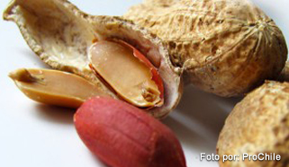 nueces-frutos-secos-prochileint