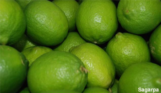 limones-legiscomex.int