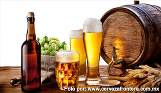 oportunidades-dinamarca-cerveza-artesanal-INT