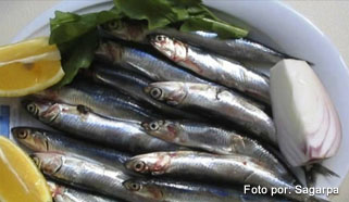 pescado-sardinas-comida-mar.int