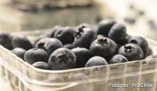 berries-uvas-prochile-legiscomex_int.jpg