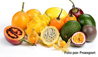 frutas-exoticas-legiscomex