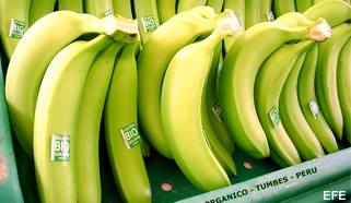 bananos exportacion