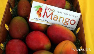 mango exportacion