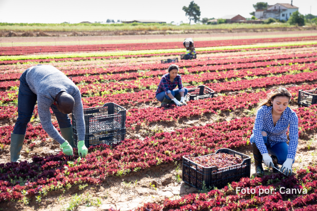 agricultura