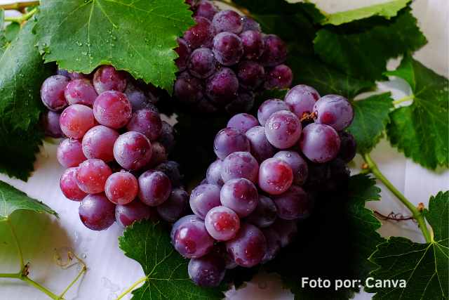 uvas