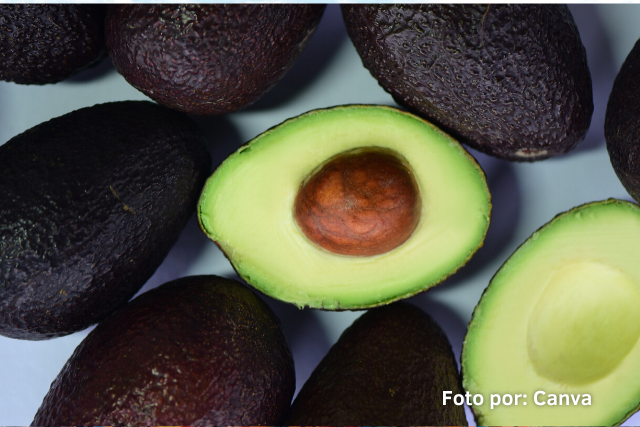 aguacate hass