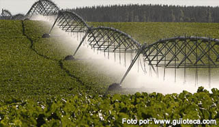 sustentabilidad-agricultura-chile-INT