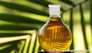 aceites-cimarrones-sas-zf-INT