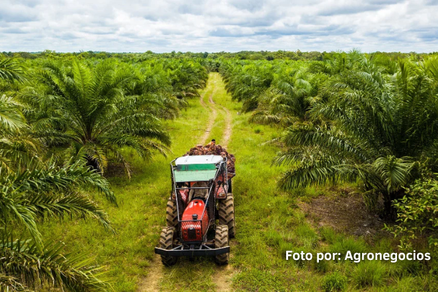 Exportaciones de productos agropecuarios de colombia