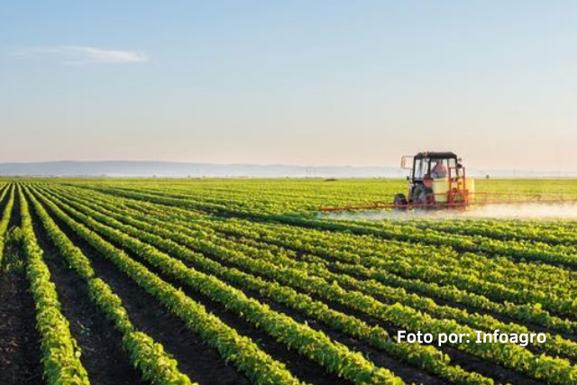 Sector agroalimentario México