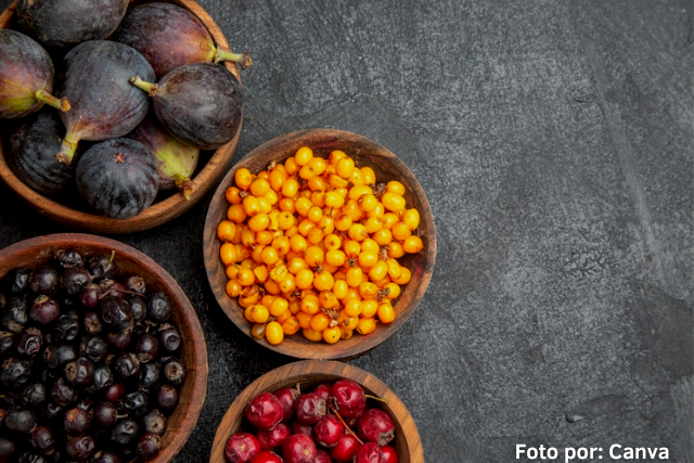 Frutos Silvestres chilenos