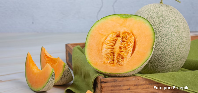 Oferta de melones costa rica