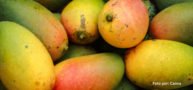 mango mexico