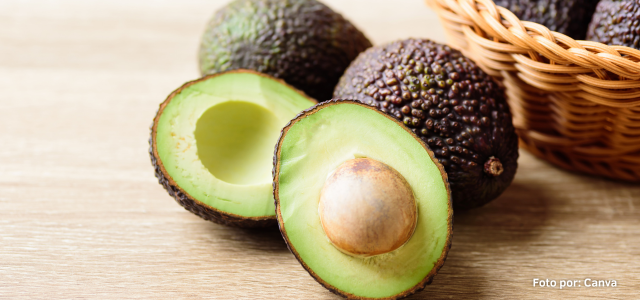 Aguacate Hass la nueva estrella del agro colombiano